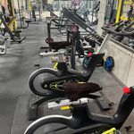 باشگاه بدنسازی تک