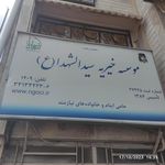 فاطمیون