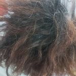 آموزشگاه و سالن زیبایی سیب سبز