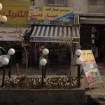 فروشگاه مواد غذایی و پروتئینی شانتیا