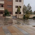 دانشکده روانشناسی