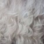 آموزشگاه و سالن زیبایی سیب سبز