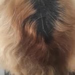 آموزشگاه و سالن زیبایی سیب سبز