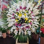 گلفروشی سی تو (ارسال رایگان)