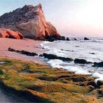 منطقه حفاظت گردیده نای بند