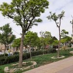 بوستان امیر کبیر