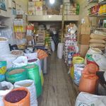 موتور فروشی عباس بیات