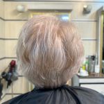 رنگ و لایت ژیلا امیری