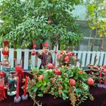 مهد و پیش دبستان دنیای نوابغ اصفهان