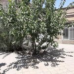 خیریه خورشید