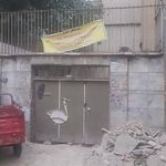 خانه فروغ فرخزاد