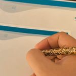 شرکت خدمات نظافتی آسامند