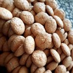 شیرینی سرای ماه تی تی