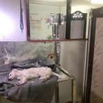 دامپزشکی دکتر صادقی