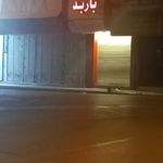 آجیل و خشکبار باربد