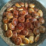 شیرینی فروشی بردیا
