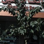 خودپرداز بانک تجارت