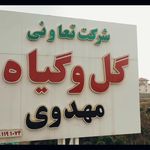شرکت تعاونی گل و گیاه مهدوی