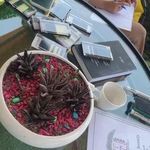 آموزش و خدمات مژه سارا قیطانی