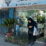 گلکده کیارش