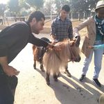 باشگاه سوارکاری پاییزان
