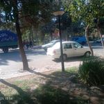 بوستان بنفشه