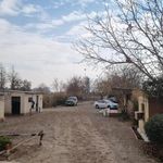 باشگاه سوارکاری پاییزان