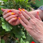 خدمات ناخن ماريا نيل در نیاوران