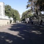 مرکز خدمات جامع سلامت شهری صفدری