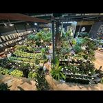 گل فروشی آقای گل فروش