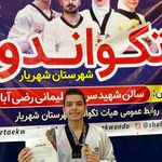 آکادمی تکواندو قدیانی