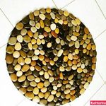 فرش و پادری 