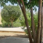 بوستان اکبرآباد