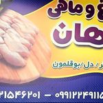 قصابی هادی