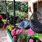 اقامتگاه باغ گلها