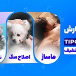 فروشگاه و خدمات اصلاح آقایان پت و ماساژ