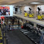باشگاه شیر ایرانی