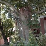 روستای هنجن