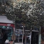 لوله کش صادقی