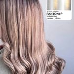 رنگ و لایت تخصصی (راحله نصیری)