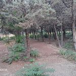 بوستان آی تی