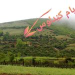 بام کندلوس