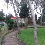 رستوران شیلات