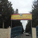 رستوران شیلات