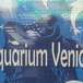 آکواریوم ونیز