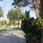 پارک معلم