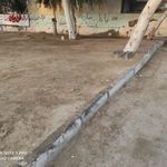 فلافل ناب بندر