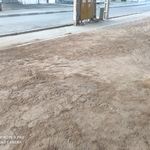 فلافل ناب بندر