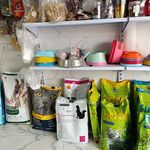 پت شاپ سرزمین حیوانات - دماوند - 5058