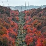 پارک جنگلی بابلکنار